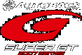 SUPER GT SERIES logo