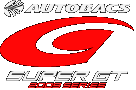 SUPER GT SERIES logo