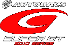 SUPER GT SERIES logo